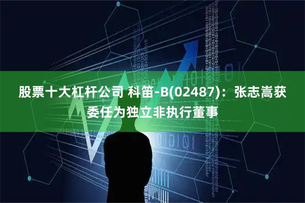 股票十大杠杆公司 科笛-B(02487)：张志嵩获委任为独立非执行董事