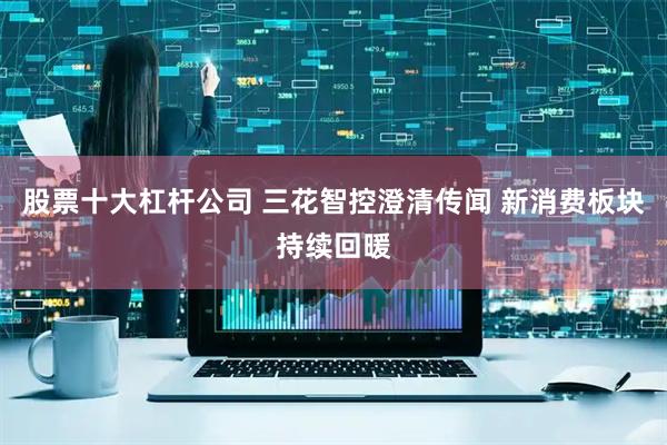 股票十大杠杆公司 三花智控澄清传闻 新消费板块持续回暖